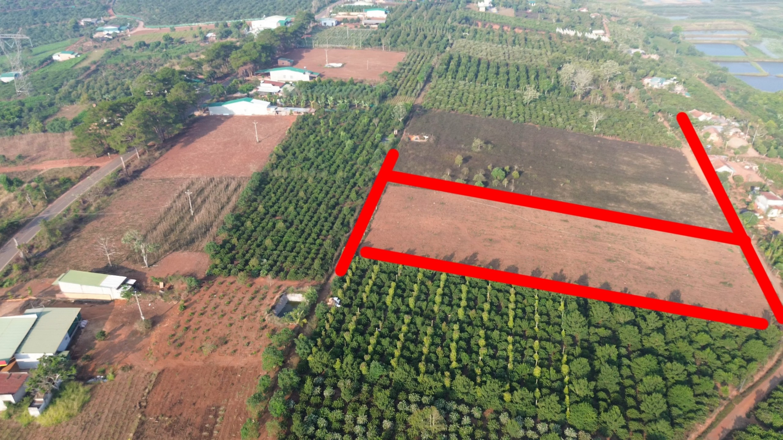 Lô đất 2000m ở Lâm Hà Lâm Đồng chủ đất cần bán gấp giá giảm 100%, có sẵn 200m thổ cư - Ảnh chính